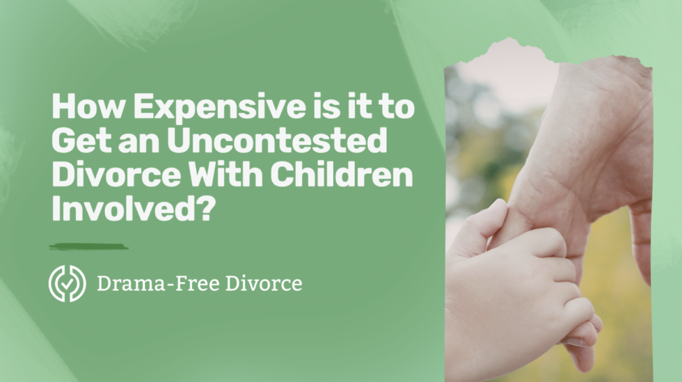 Drama-Free Divorce LLC